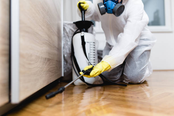 Insect Control in Acworth, GA