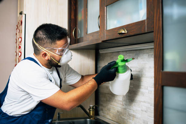 Best Termite Control Services  in Acworth, GA