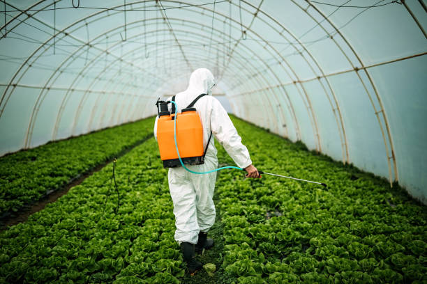 Best Pest Removal Services  in Acworth, GA