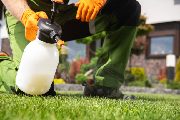 Best Insect Control  in Acworth, GA