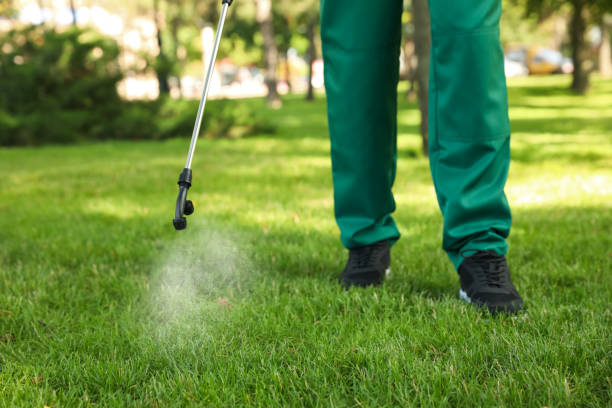 Best Rat Extermination Near Me  in Acworth, GA