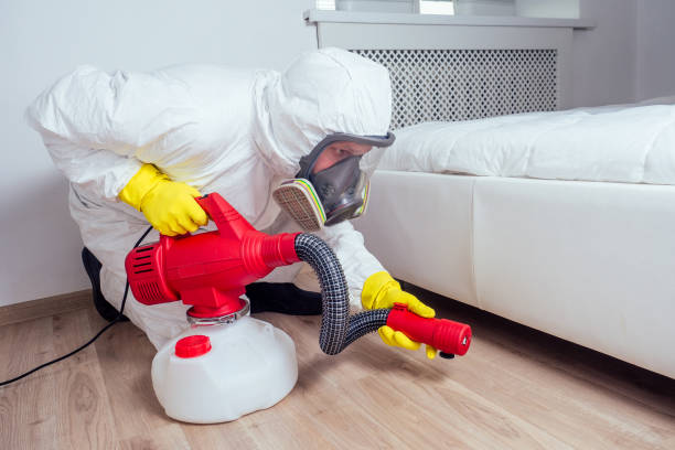 Best Affordable Pest Control Services  in Acworth, GA