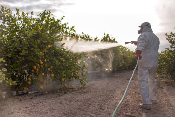 Best Best Pest Control Companies  in Acworth, GA