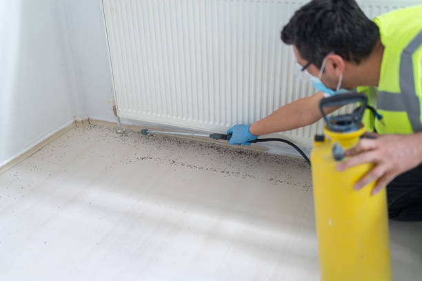 Best Residential Pest Control  in Acworth, GA