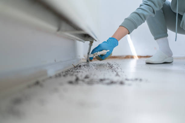 Best Mosquito Control Services  in Acworth, GA